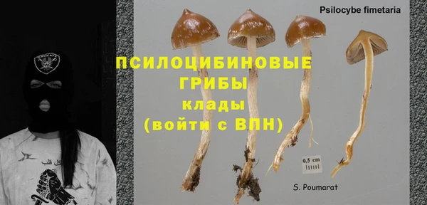 Альфа ПВП Осинники