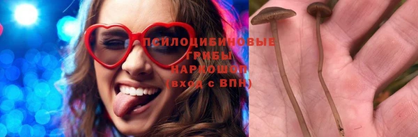 молекула духа Осташков