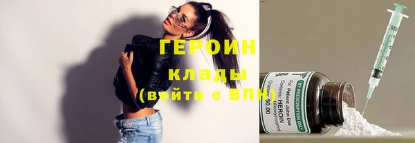 молекула духа Осташков