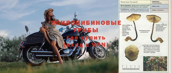 спиды Пересвет