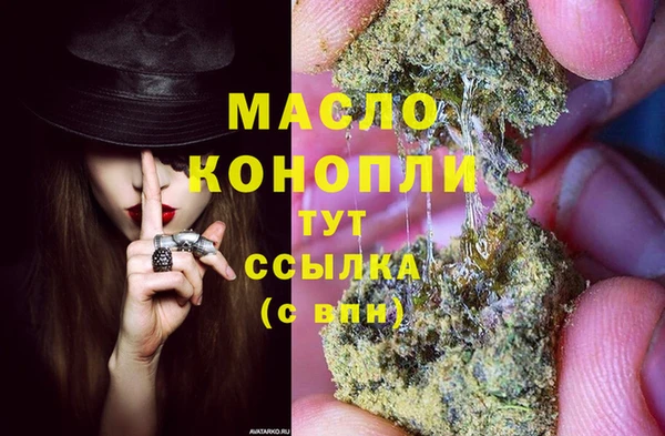 спиды Пересвет
