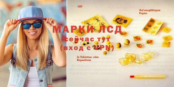 спиды Пересвет