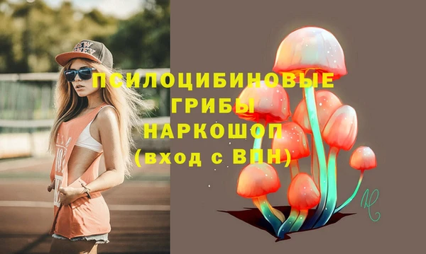 скорость Пестово
