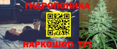 дмт Малгобек