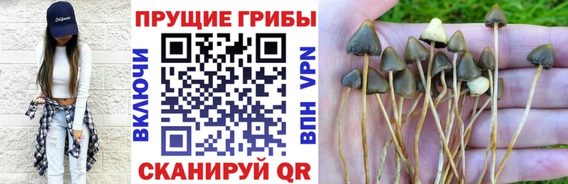 hydra tor  Отрадное  Псилоцибиновые грибы ЛСД  купить  цена 
