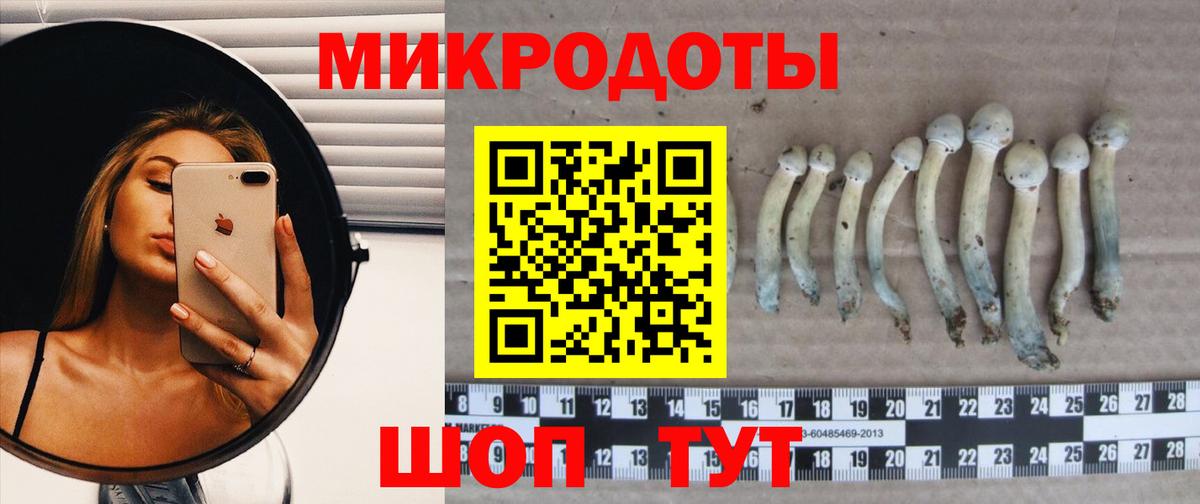 Галлюциногенные грибы ЛСД Отрадное